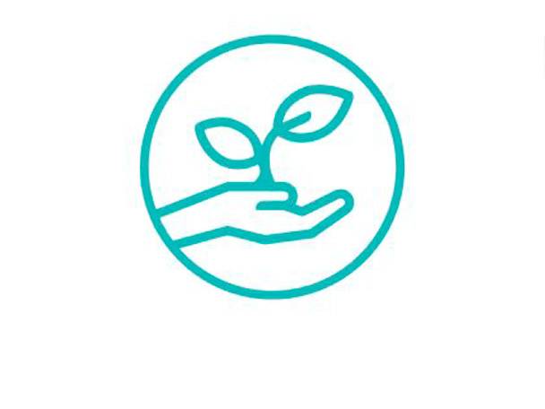 Hands holding a plant: a symbol of care and growth.
