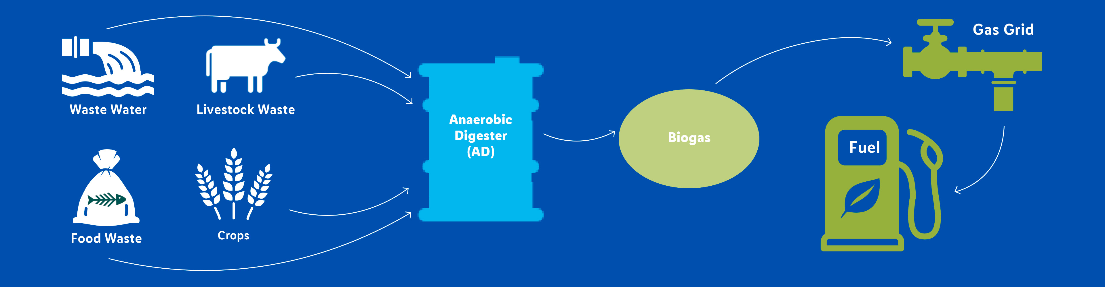 Biogas production from wastewater, livestock waste, and crops.