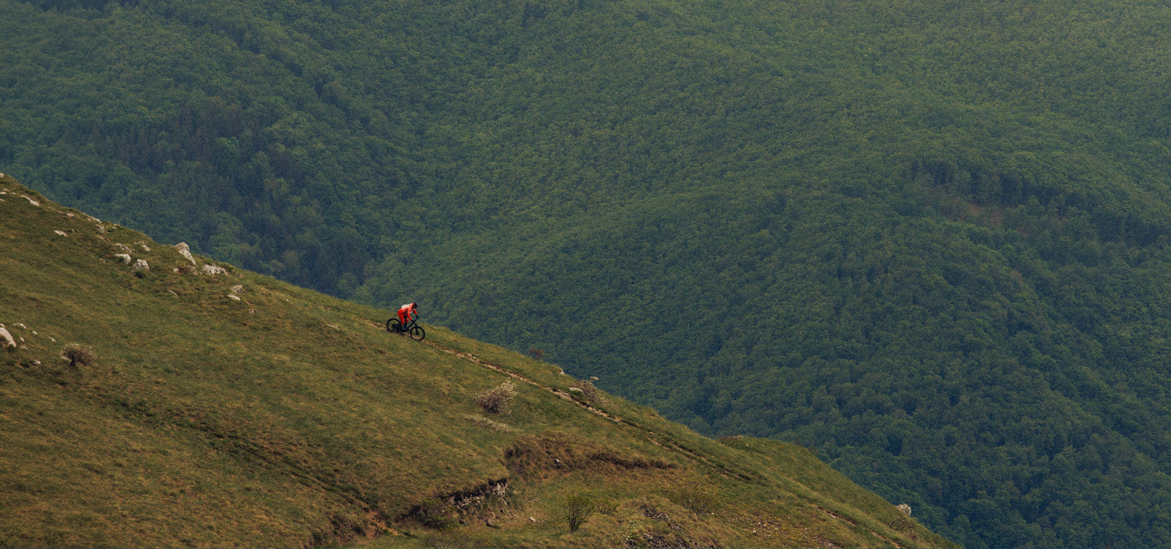 aiLabeling.aiLabelForImageAltText: Mountain biker in red riding down a grassy hill with a dense forest backdrop.